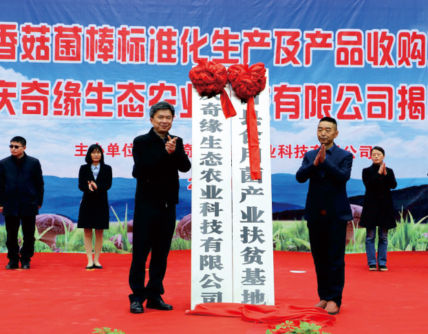 重慶蒸汽鍋爐食用菌項目